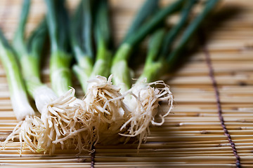 Image showing Scallions