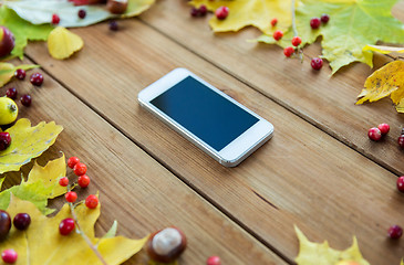 Image showing smartphone with autumn leaves, fruits and berries