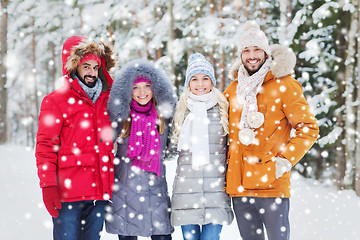 Image showing group of smiling men and women in winter forest