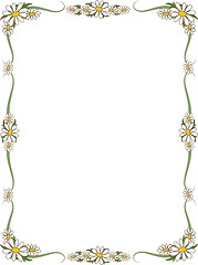 Image showing Daisy Border