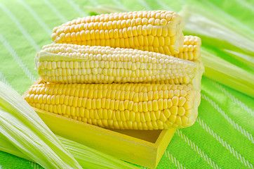 Image showing raw corn