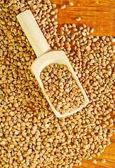 Image showing buckwheat