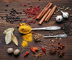 Image showing various spices