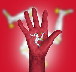 Image showing Palm of a woman hand, painted with flag