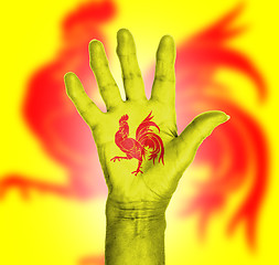 Image showing Palm of a woman hand, painted with flag