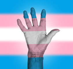 Image showing Palm of a woman hand, painted with flag