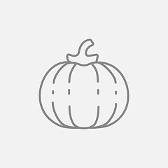 Image showing Pumpkin line icon.