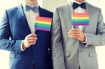 Image showing close up of male gay couple holding rainbow flags