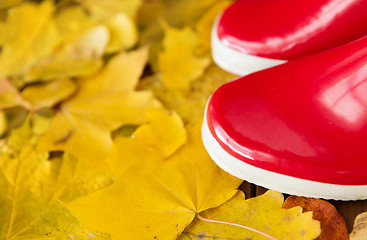 Image showing close up of red rubber boots on autumn leaves