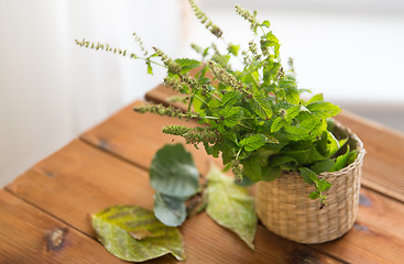 Image showing close up of melissa in basket on wooden table