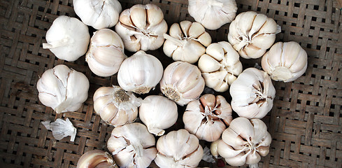 Image showing Garlic