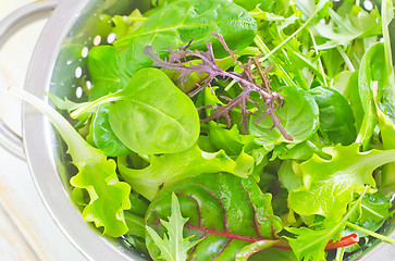 Image showing fresh salad