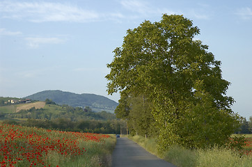 Image showing Val Trebbia