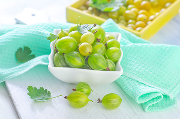 Image showing gooseberry