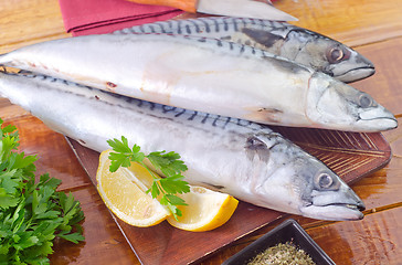 Image showing raw fish