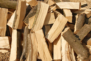 Image showing Big pile of firewood hornbeam