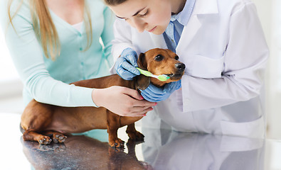 Image showing woman with dog and doctor at vet clinic