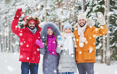 Image showing group of friends waving hands in winter forest