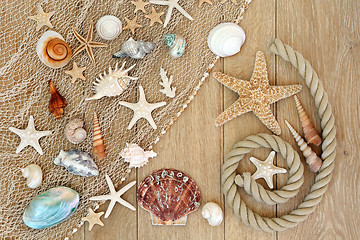 Image showing Treasures of the Sea