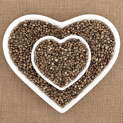 Image showing Hemp Seed