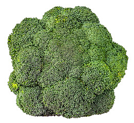 Image showing Large inflorescences of fresh broccoli top view