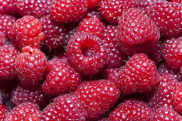 Image showing red raspberry   close-up  