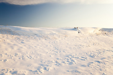 Image showing the field covered with snow  