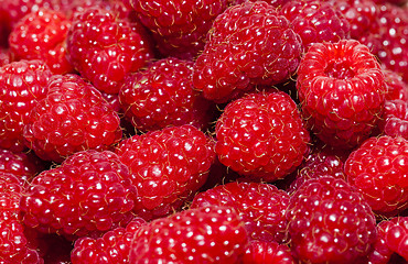Image showing red raspberry   close-up  