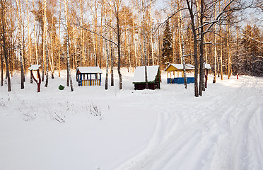 Image showing trees in winter  