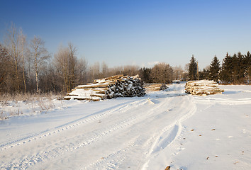 Image showing felled trees .  snow