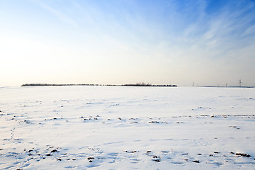 Image showing snow covered field  