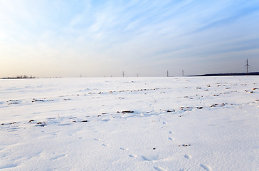 Image showing snow covered field  