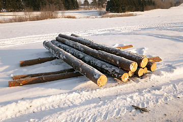 Image showing felled trees .  snow