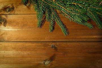 Image showing natural green fir branch on blank wooden board