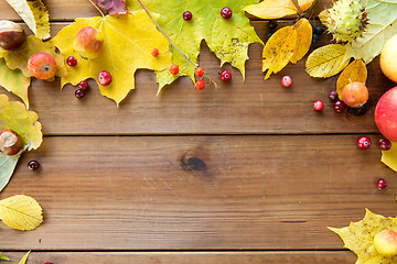 Image showing frame of autumn leaves, fruits and berries on wood