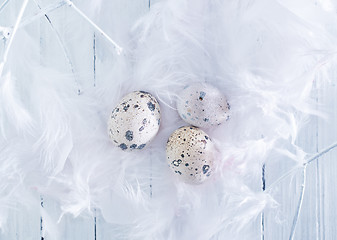 Image showing quail eggs