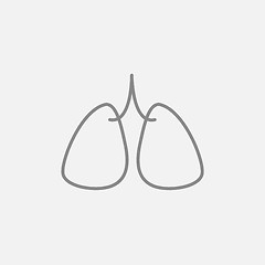 Image showing Lungs line icon.