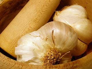 Image showing garlic