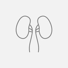 Image showing Kidney line icon.