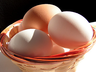 Image showing Eggs 1