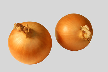 Image showing Two onions