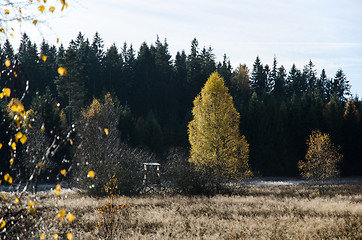 Image showing Hidden hunting tower