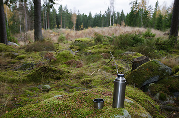 Image showing Steel thermos on a rock in forest