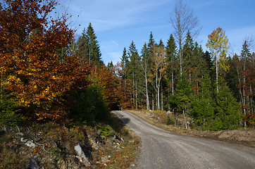 Image showing Winding gravel road at fall