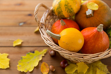 Image showing close up of pumpkins in basket on wooden table