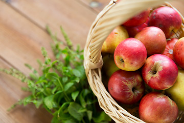 Image showing close up of basket with apples and herbs on table