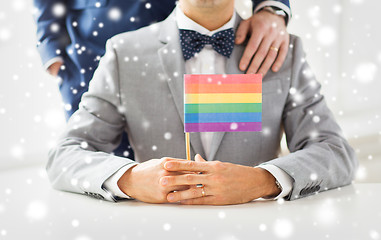 Image showing close up of male gay couple holding rainbow flag