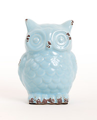 Image showing Blue owl gift, isolated