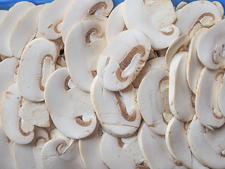 Image showing Champignon mushrooms background