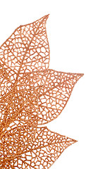 Image showing Christmas decorative orange leaves